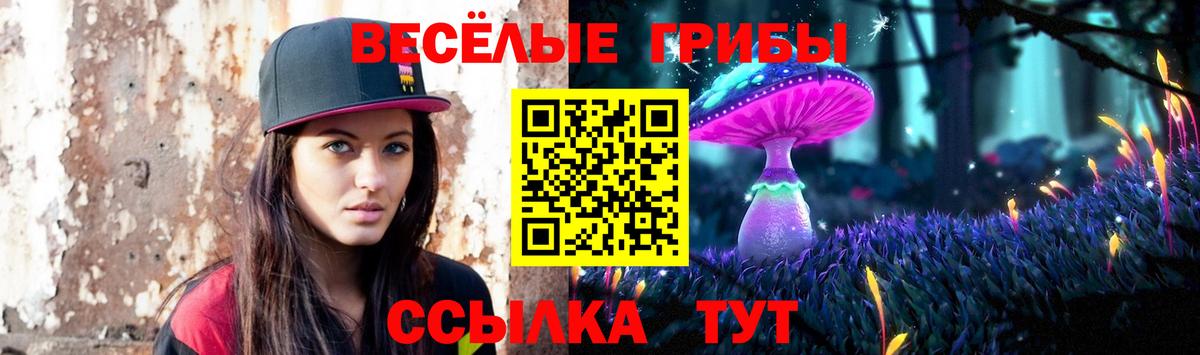 Псилоцибиновые грибы Psilocybine cubensis Спасск-Дальний